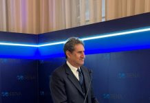 IRENA DG urges accelerated action towards renewable energy goals