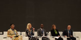 Ministerial roundtable emphasises renewable energy’s role in shaping global energy security landscape