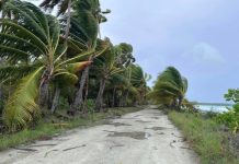 Fewer Tropical Cyclones observed than forecast over November 2023 to April 2024 in the southwest Pacific
