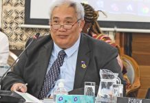 Cook Island needs referendum to decide UN membership – Foreign minister