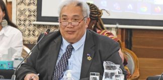 Cook Island needs referendum to decide UN membership – Foreign minister