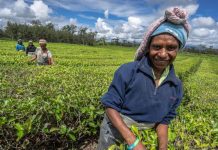 Australia welcomes reforms at ADB and responsiveness to Pacific members