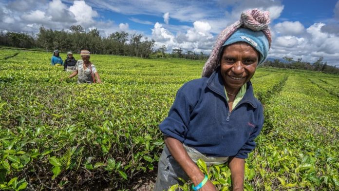 Australia welcomes reforms at ADB and responsiveness to Pacific members