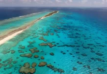 Small Island Developing States can be Nature-Positive Leaders for the World