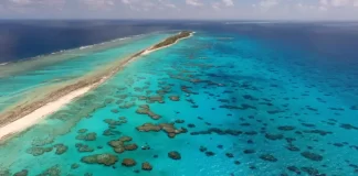 Small Island Developing States can be Nature-Positive Leaders for the World
