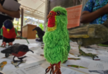 Rediscovering the lost Kulawai: Fiji’s effort to save a vanishing bird