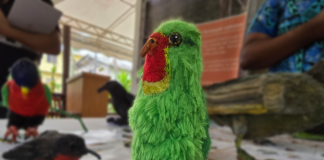Rediscovering the lost Kulawai: Fiji’s effort to save a vanishing bird