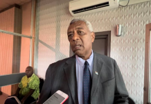 Fiji Home Affairs Minister wants a national intelligence service