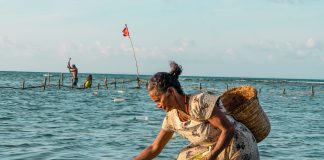 New $135 million initiative will support Small Island Developing States to tackle drivers of environmental degradation