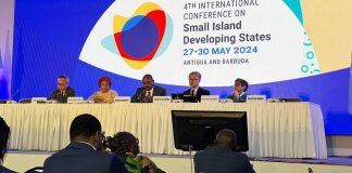 SIDS go forward with ‘new sense of hope, solidarity and determination’