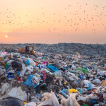 New Plastics Treaty Chief means negotiators ‘Can get back to work’