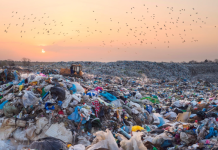 Pacific delegates advocate for a key regional aspiration to be included in the plastic treaty text