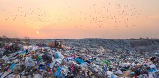New Plastics Treaty Chief means negotiators ‘Can get back to work’
