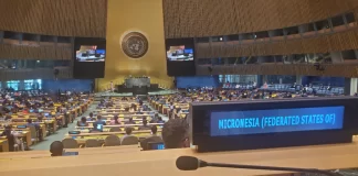 FSM elected Vice President of the UN General Assembly