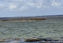 Pacific Ocean Commissioner calls for global ocean literacy on World Ocean Day