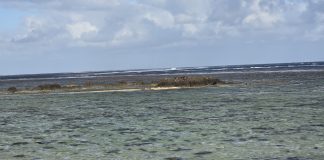 Pacific Ocean Commissioner calls for global ocean literacy on World Ocean Day