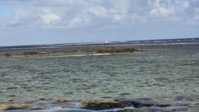 Pacific Ocean Commissioner calls for global ocean literacy on World Ocean Day