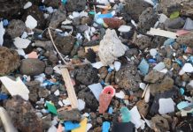 ‘Your plastic is here’: how Easter Island copes with 500 pieces of rubbish an hour washing ashore