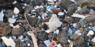 ‘Your plastic is here’: how Easter Island copes with 500 pieces of rubbish an hour washing ashore