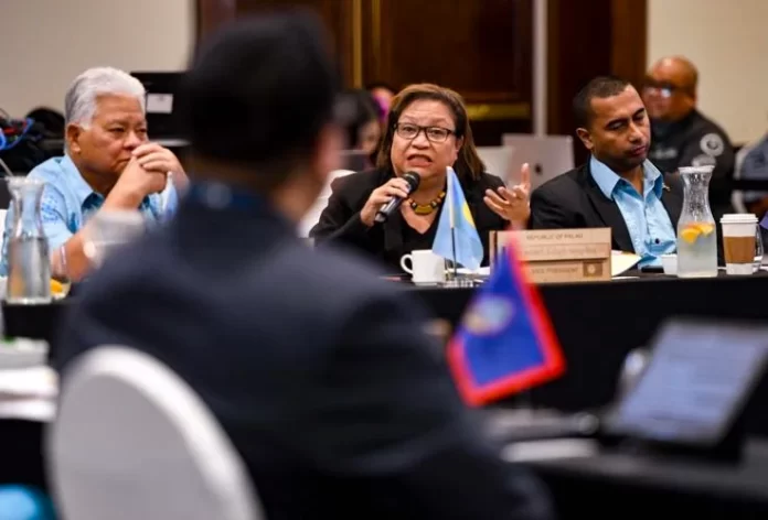 Micronesian leaders tackle cyber attacks, internet safety