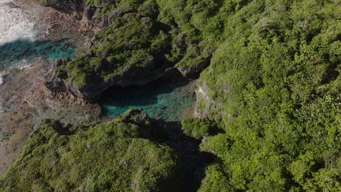 Tiny Niue leads Ocean Conservation: New National Geographic documentary