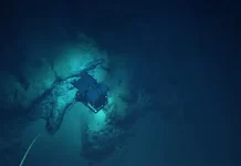 FSM calls for stronger Ocean protection and Seabed mining regulations at UNCLOS meeting