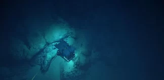 FSM calls for stronger Ocean protection and Seabed mining regulations at UNCLOS meeting