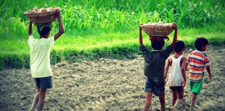 Fijian children at risk of forced labour and trafficking: Report