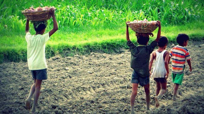 Fijian children at risk of forced labour and trafficking: Report