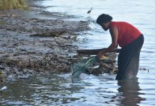 Mineral exploration in the Sigatoka river area