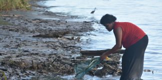 Mineral exploration in the Sigatoka river area