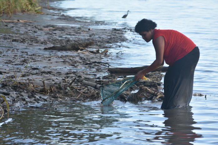 Mineral exploration in the Sigatoka river area