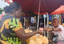 Solomon Islands: Coconut Industry Face Extinction