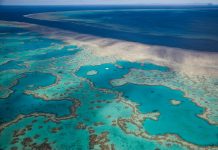 Deep Down Under: How deep sea mining threatens Australia and the Pacific