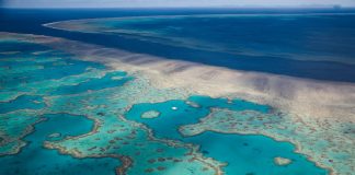 Deep Down Under: How deep sea mining threatens Australia and the Pacific
