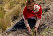 Break free from pollution, climate chaos and ‘biodiversity decimation’, UN chief urges