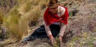 Break free from pollution, climate chaos and ‘biodiversity decimation’, UN chief urges