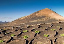 Stop ‘vandalising’ Earth and help the planet thrive, UN chief urges