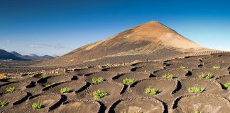 Stop ‘vandalising’ Earth and help the planet thrive, UN chief urges