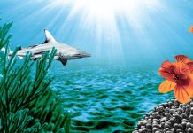 World Oceans Day event highlights immediate action to protect oceans