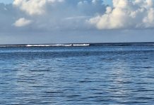 World Ocean Day Message Pacific Ocean Commissioner, Dr Filimon Manoni- 08 June 2024