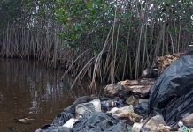 Ocean Currents Bringing Plastic Waste to Tonga