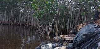 Ocean Currents Bringing Plastic Waste to Tonga