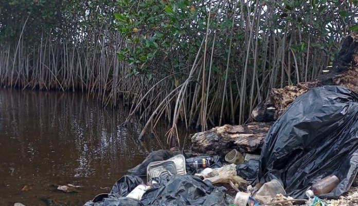 Ocean Currents Bringing Plastic Waste to Tonga