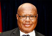 PNG minister Maladina steps down after woman’s alleged assault in Bondi