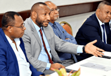 PNG Opposition raises concern on foreign syndicates