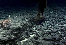 ‘Talanoa’ key to Forum’s seabed mining approach