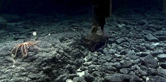 ‘Talanoa’ key to Forum’s seabed mining approach