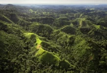 Five held over mass East Sepik killings in PNG