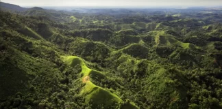 Five held over mass East Sepik killings in PNG